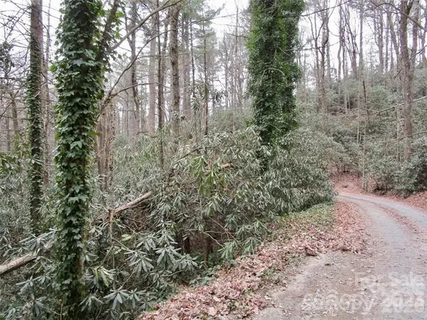 Lot #21 Toxaway Falls DR, Lake Toxaway, NC 28747