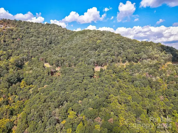 000 High Rock View DR #32, Canton, NC 28716