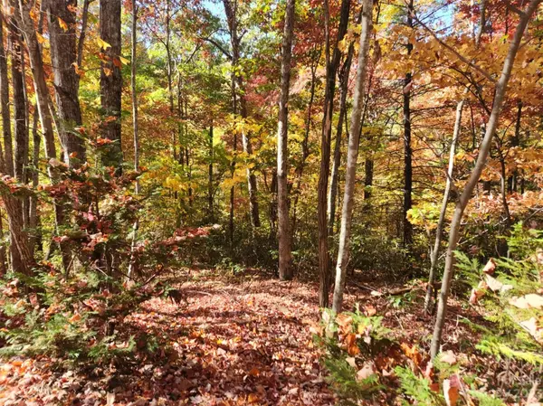 00 Angel of the Lake DR #17, Lake Lure, NC 28746