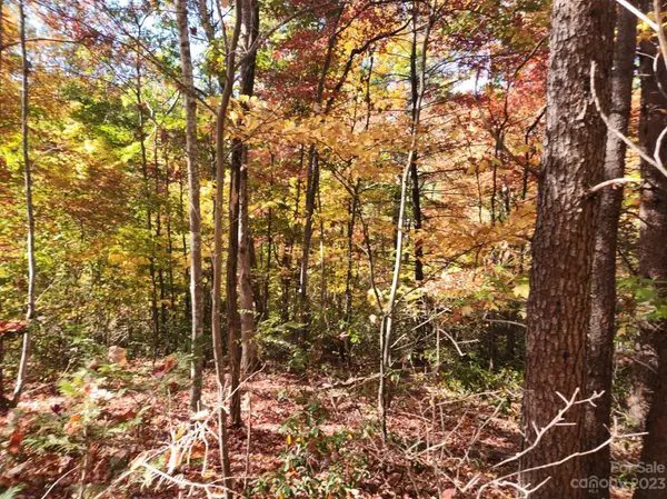 00 Angel of the Lake DR #17, Lake Lure, NC 28746