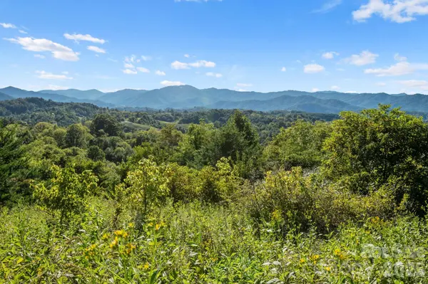 1231 Baileys Branch RD #3, Marshall, NC 28753