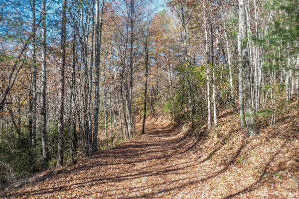 000 Needmore RD, Bryson City, NC 28713