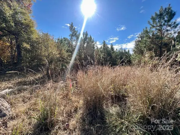 11.53 acres Old Camden HWY, Lancaster, SC 29720