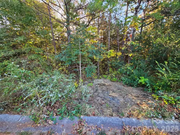 0 General Griffith CIR #25, Rutherfordton, NC 28139