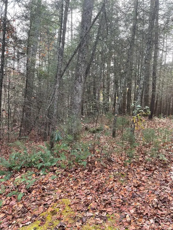 50 Mountain Escape DR, Zirconia, NC 28790