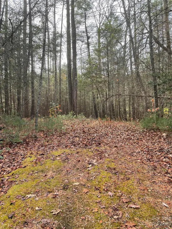 50 Mountain Escape DR, Zirconia, NC 28790