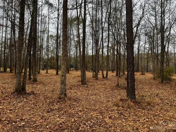 Lot 154 Lookout Dam RD, Statesville, NC 28625