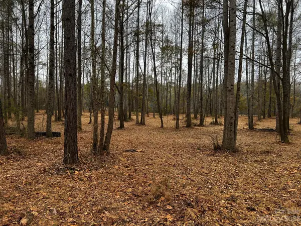 Lot 155 Lookout Dam RD, Statesville, NC 28625