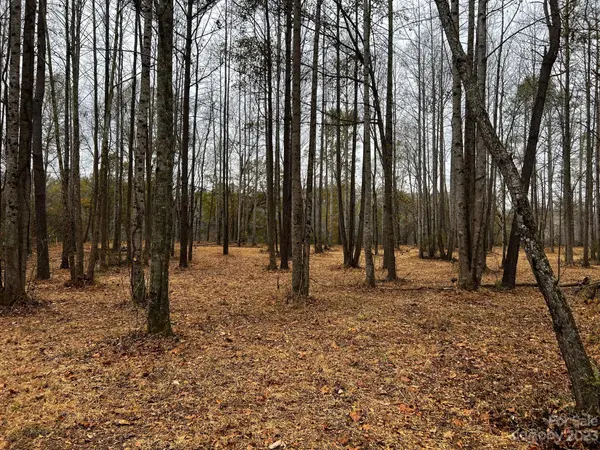 Lot 156 Lookout Dam RD, Statesville, NC 28625