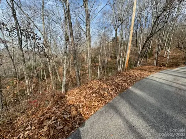 Lot 17 Franklin Farm RD, Franklin, NC 28734