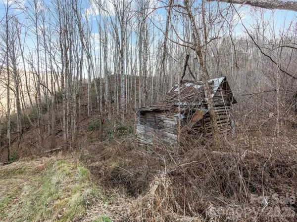 00 NC 209 HWY, Spring Creek, NC 28743