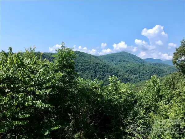 677 White Water WAY #30, Marshall, NC 28753