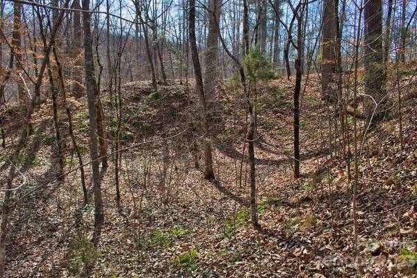 0 Woodstock LN #170, Rutherfordton, NC 28139