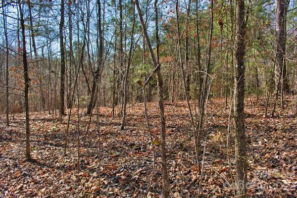 0 Woodstock LN #170, Rutherfordton, NC 28139