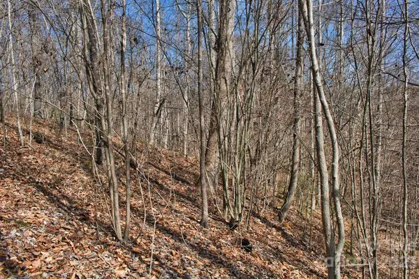 0 Woodstock LN #170, Rutherfordton, NC 28139