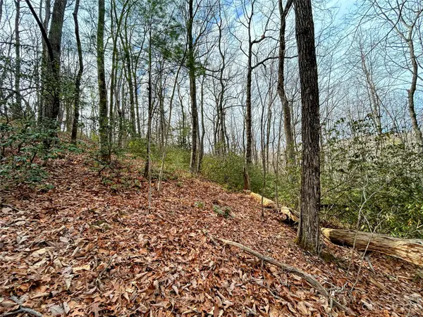 Lot 7 Azalea WAY, Saluda, NC 28773