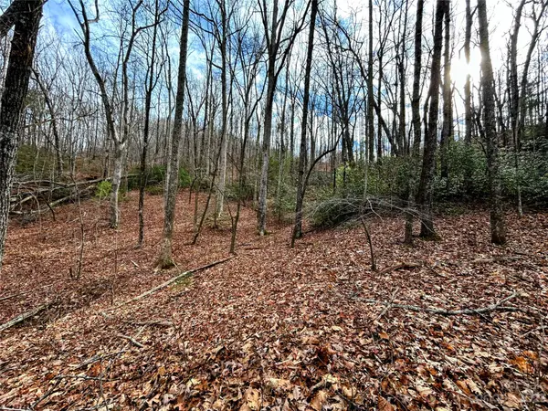Lot 7 Azalea WAY, Saluda, NC 28773