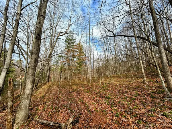 Lot 8 Azalea WAY, Saluda, NC 28773