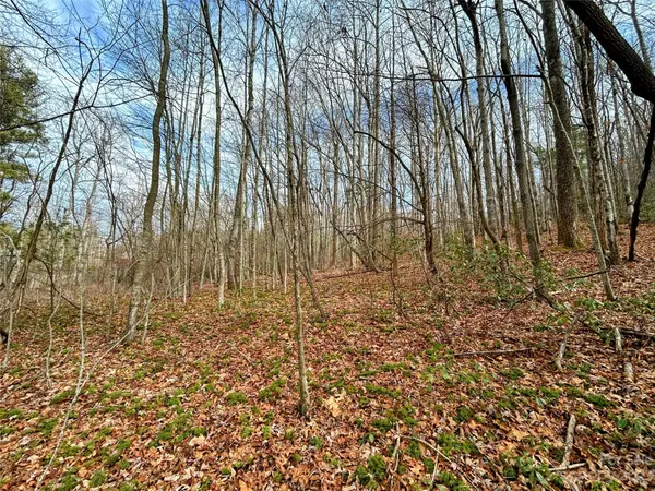 Lot 8 Azalea WAY, Saluda, NC 28773