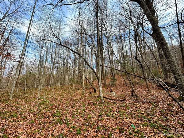 Lot 8 Azalea WAY, Saluda, NC 28773