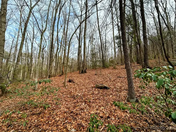 Lot 11 Rhododendron DR, Saluda, NC 28773