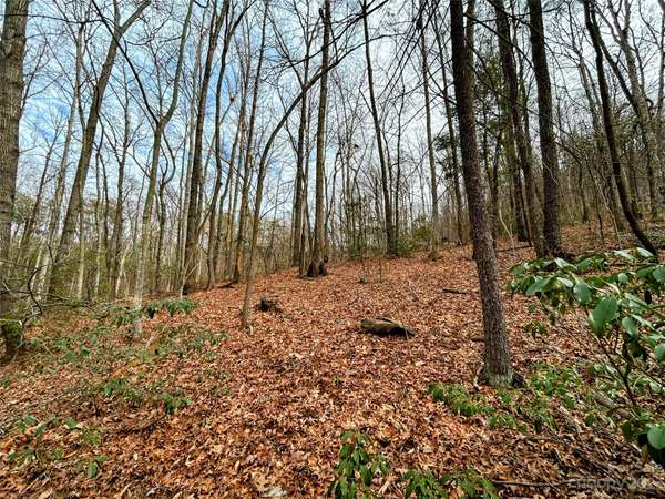 Lot 11 Rhododendron DR, Saluda, NC 28773