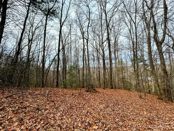 Lot 11 Rhododendron DR, Saluda, NC 28773