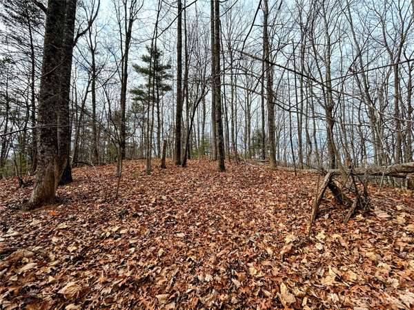 Lot 12 Rhododendron DR, Saluda, NC 28773