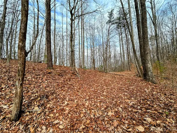 Lot 12 Rhododendron DR, Saluda, NC 28773