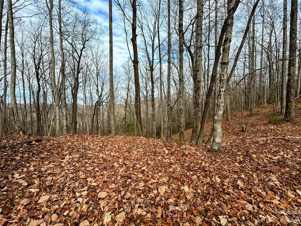 Lot 12 Rhododendron DR, Saluda, NC 28773