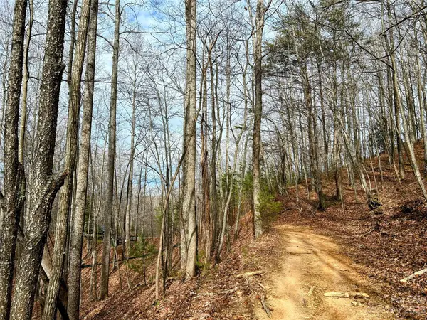 Lot 14 Rhododendron DR, Saluda, NC 28773