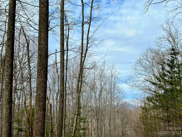 Lot 14 Rhododendron DR, Saluda, NC 28773