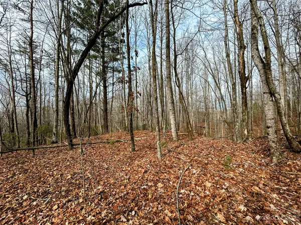 Lot 14 Rhododendron DR, Saluda, NC 28773