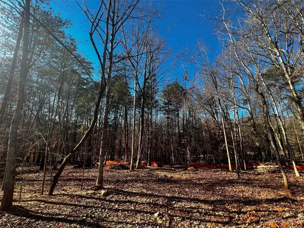 156 Copper Pine LN #5, Davidson, NC 28036