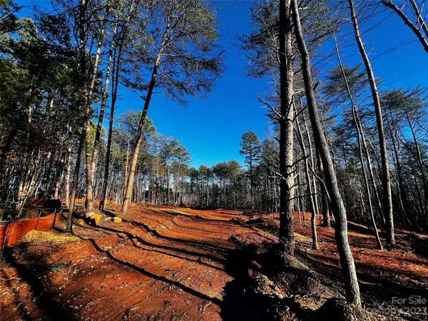 130 Hunt Camp TRL #14, Davidson, NC 28036