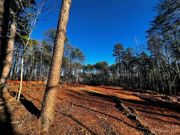 130 Hunt Camp TRL #14, Davidson, NC 28036