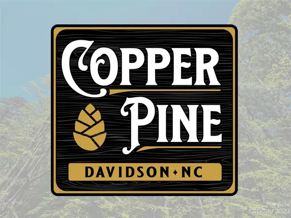 123 Hunt Camp TRL #17, Davidson, NC 28036