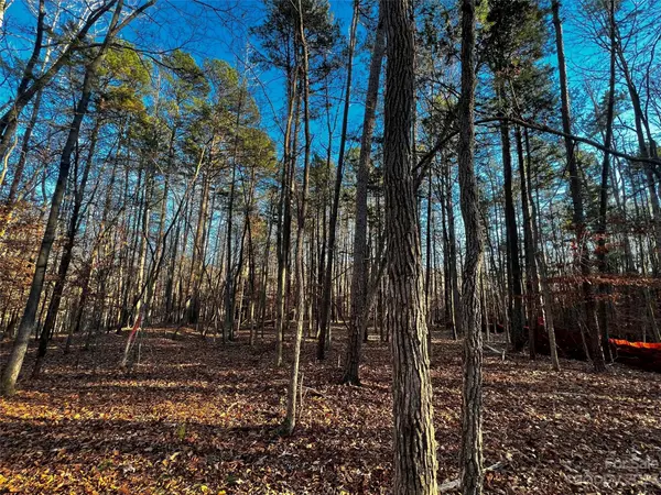 126 Hunt Camp TRL #20, Davidson, NC 28036
