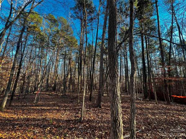 126 Hunt Camp TRL #20, Davidson, NC 28036