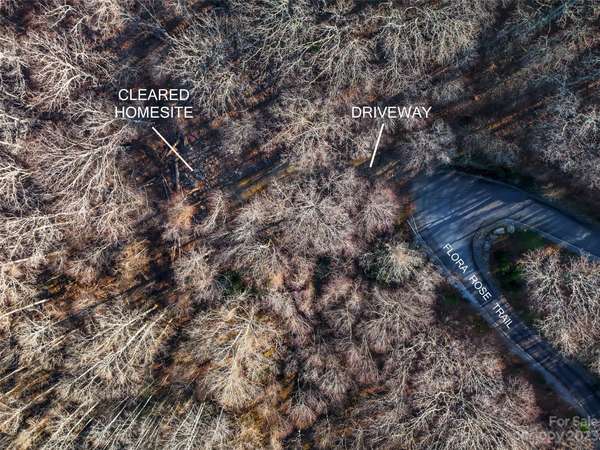58 Flora Rose TRL #6A, Asheville, NC 28803