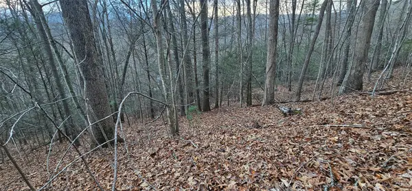 Lot 10 Seay Mountain RD, Waynesville, NC 28785