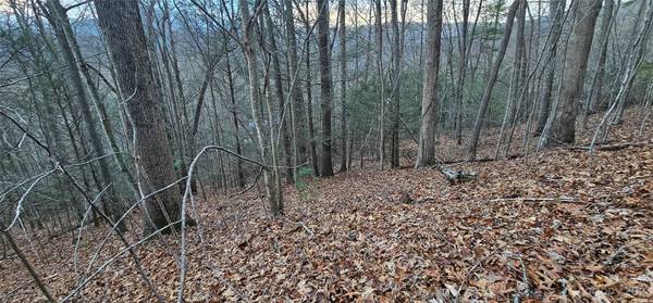Lot 10 Seay Mountain RD, Waynesville, NC 28785