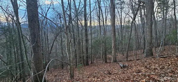 Lot 10 Seay Mountain RD, Waynesville, NC 28785