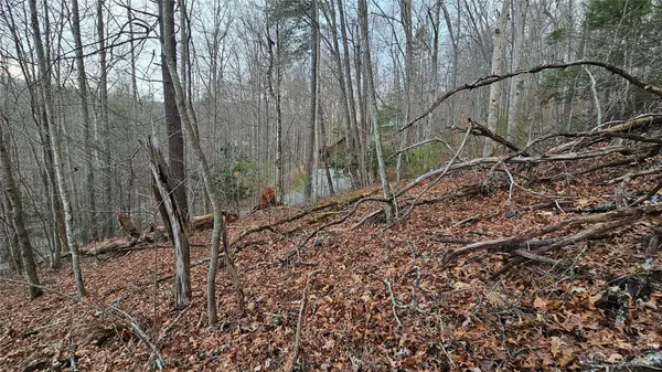 Lot 13 Seay Mountain RD, Waynesville, NC 28785