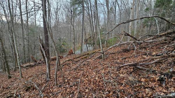 Lot 13 Seay Mountain RD, Waynesville, NC 28785