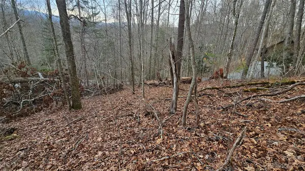 Lot 13 Seay Mountain RD, Waynesville, NC 28785