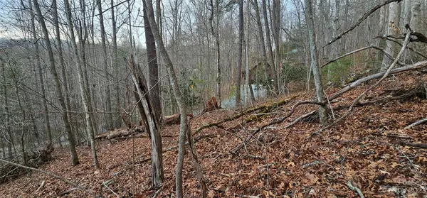 Lot 13 Seay Mountain RD, Waynesville, NC 28785