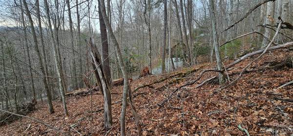 Lot 13 Seay Mountain RD, Waynesville, NC 28785