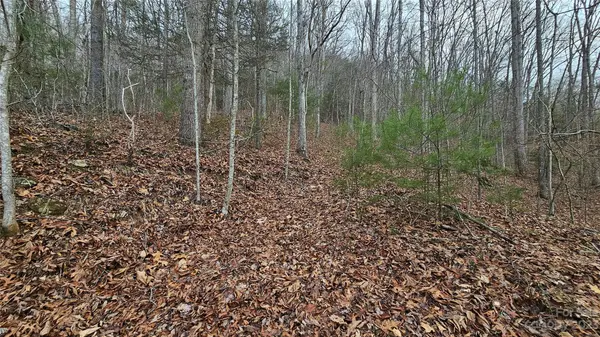 Lot 14 Seay Mountain RD, Waynesville, NC 28785