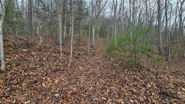 Lot 14 Seay Mountain RD, Waynesville, NC 28785
